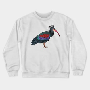 Northern bald ibis bird cartoon illustration Crewneck Sweatshirt